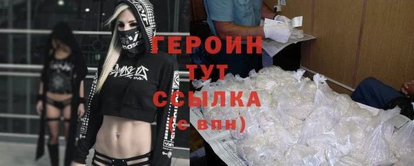 индика Елизово