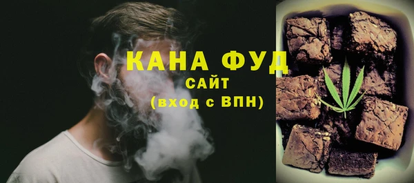 индика Елизово