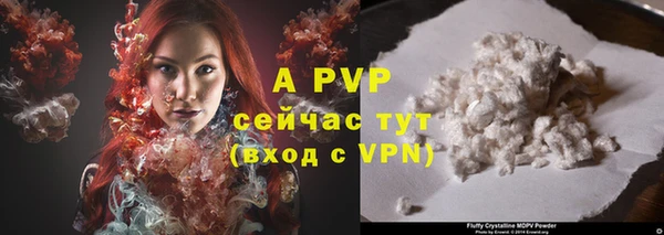 ГАЛЛЮЦИНОГЕННЫЕ ГРИБЫ Елабуга