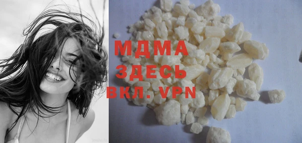 индика Елизово