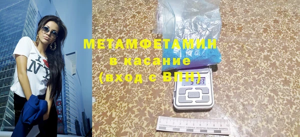 индика Елизово