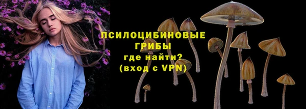 мескалин Ельня