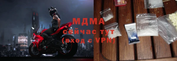 индика Елизово
