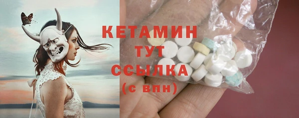 индика Елизово