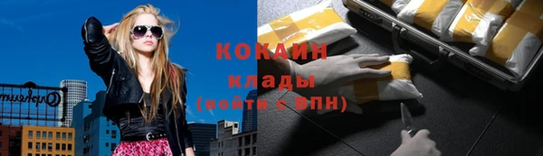 мескалин Ельня