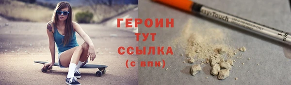 индика Елизово