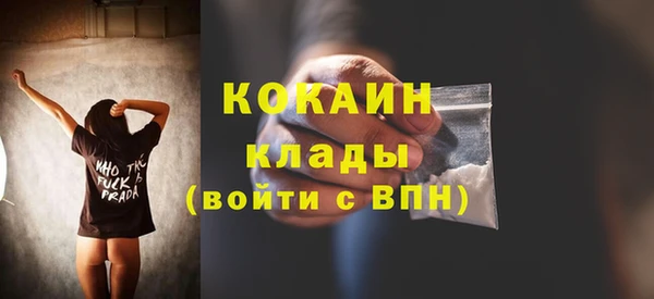 индика Елизово