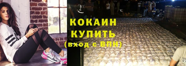 индика Елизово