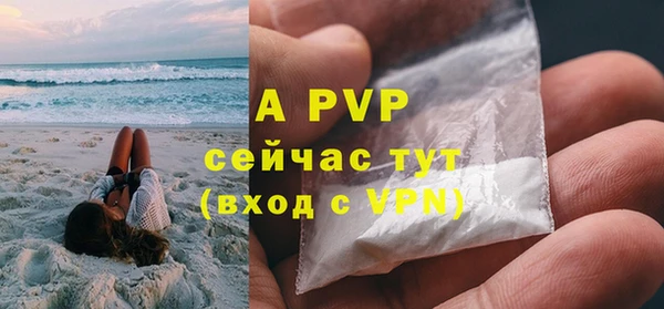 ГАЛЛЮЦИНОГЕННЫЕ ГРИБЫ Елабуга