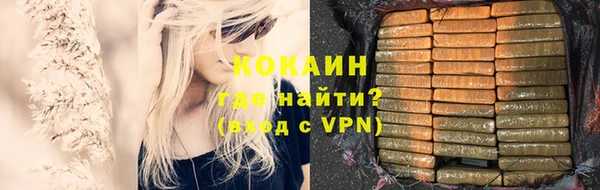 индика Елизово