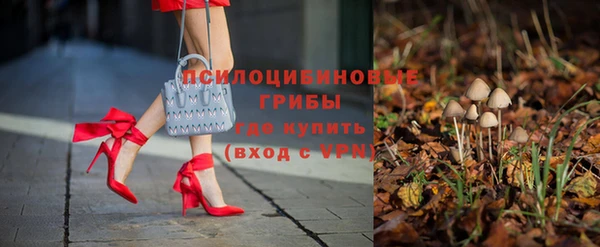 индика Елизово