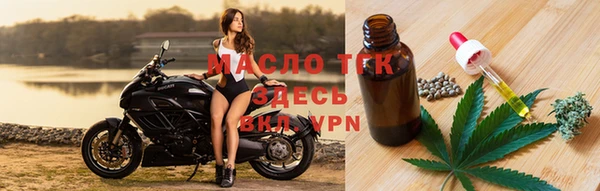 индика Елизово